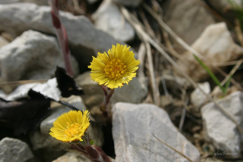 20050521_084